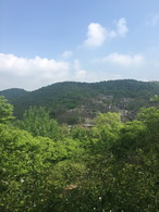 21号<strong>　　蓝 绿</strong>　　天乐测绘/吕 征