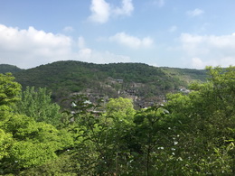 32号<strong>　　蓝天绿树</strong>　　天乐测绘/文红英